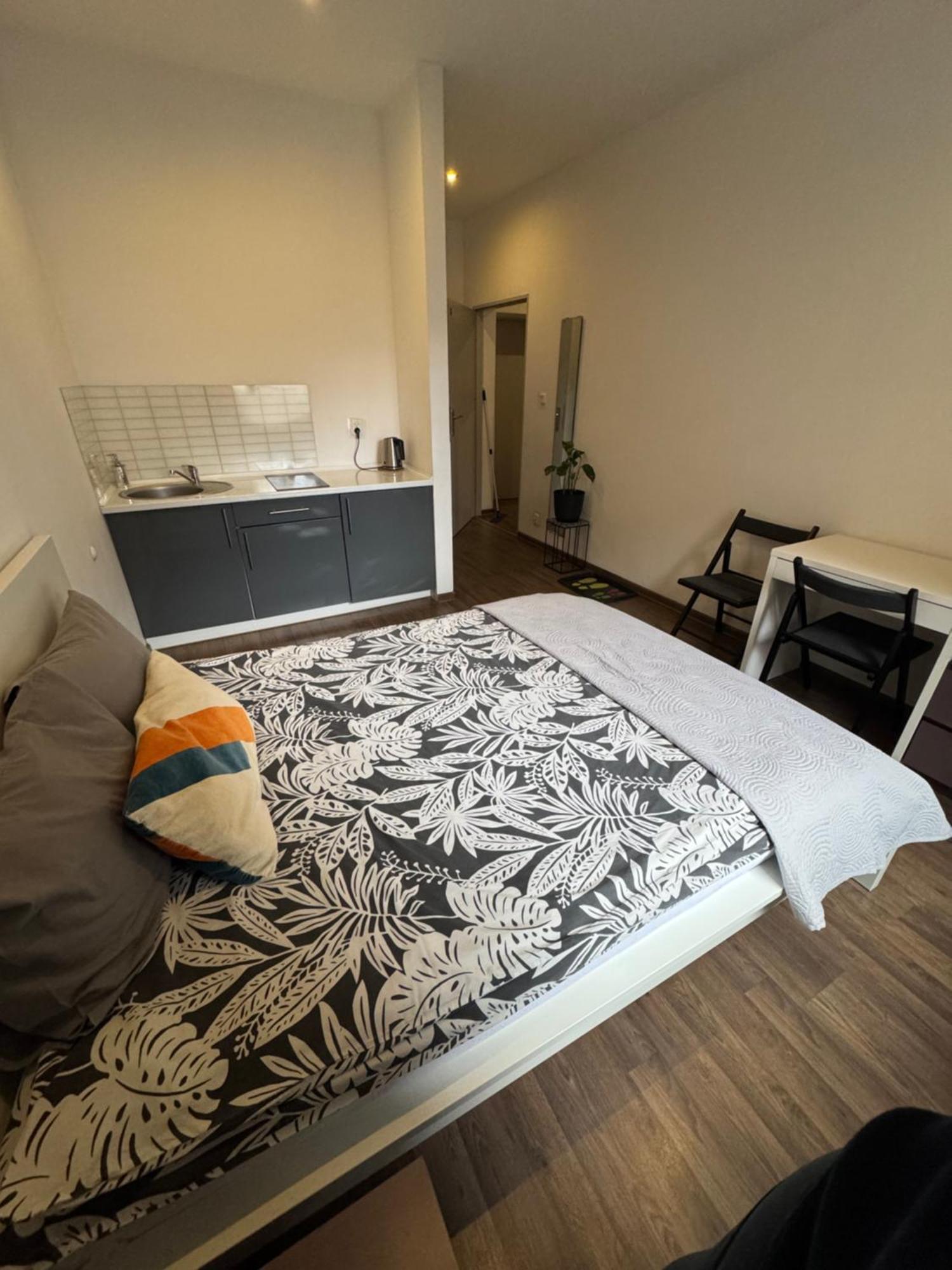 Apartamenty Mlynska15 Self Check-In 24H Apartment Kattowitz